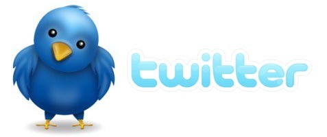 Twitter-logo-cute-bird